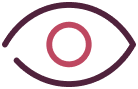 Our Vision Icon